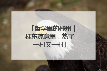 哲学里的郴州｜桂东凉意里，热了一村又一村