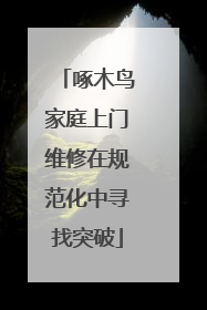 啄木鸟家庭上门维修在规范化中寻找突破