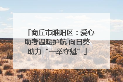 商丘市睢阳区：爱心助考温暖护航 向日葵助力“一举夺魁”