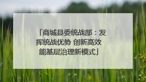 商城县委统战部：发挥统战优势 创新高效能基层治理新模式