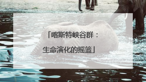 喀斯特峡谷群：生命演化的摇篮