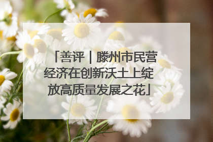 善评｜滕州市民营经济在创新沃土上绽放高质量发展之花