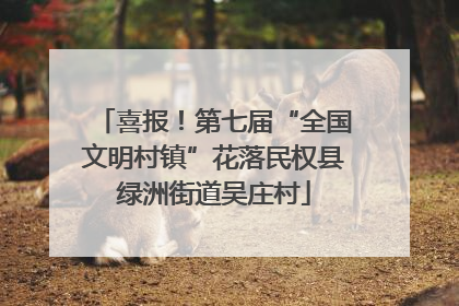 喜报！第七届“全国文明村镇”花落民权县绿洲街道吴庄村