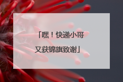 嘿！快递小哥又获锦旗致谢