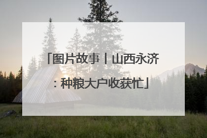 图片故事丨山西永济：种粮大户收获忙