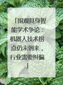 围观具身智能学术争论：机器人技术拐点仍未到来，行业需要纠偏