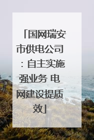 国网瑞安市供电公司：自主实施强业务 电网建设提质效