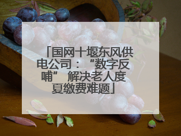 国网十堰东风供电公司：“数字反哺” 解决老人度夏缴费难题