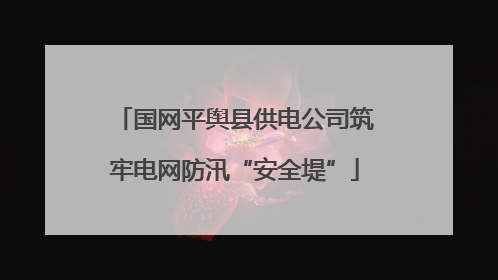国网平舆县供电公司筑牢电网防汛“安全堤”