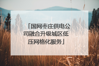 国网枣庄供电公司融合升级城区低压网格化服务