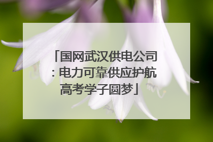 国网武汉供电公司：电力可靠供应护航高考学子圆梦