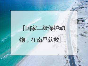 国家二级保护动物，在南昌获救