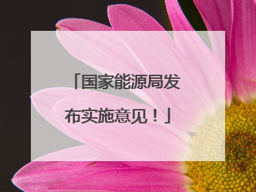 国家能源局发布实施意见！