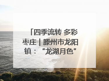 四季流转 多彩枣庄｜滕州市龙阳镇：“龙湖月色”向日葵花海 绘就乡村振兴新画卷