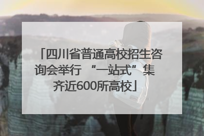 四川省普通高校招生咨询会举行 “一站式”集齐近600所高校