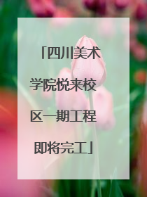四川美术学院悦来校区一期工程即将完工