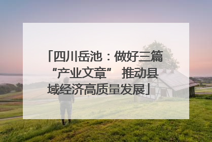四川岳池：做好三篇“产业文章” 推动县域经济高质量发展