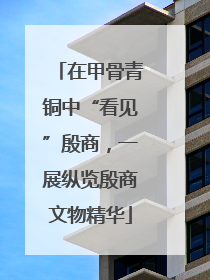 在甲骨青铜中“看见”殷商，一展纵览殷商文物精华