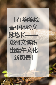 在绵绵粽香中体验文脉悠长——郑州文博织出端午文化新风景