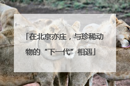 在北京亦庄，与珍稀动物的“下一代”相遇