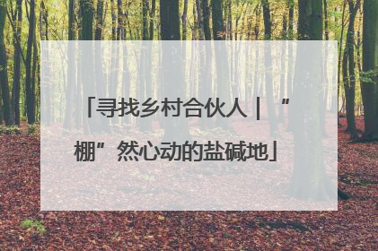寻找乡村合伙人｜“棚”然心动的盐碱地