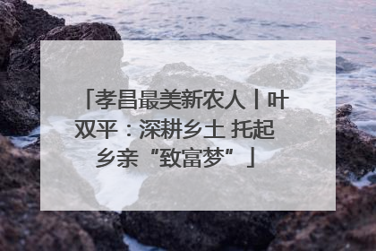 孝昌最美新农人丨叶双平：深耕乡土 托起乡亲“致富梦”