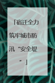 宿迁全力筑牢城市防汛“安全堤”