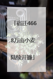 宿迁466.8万亩小麦陆续开镰