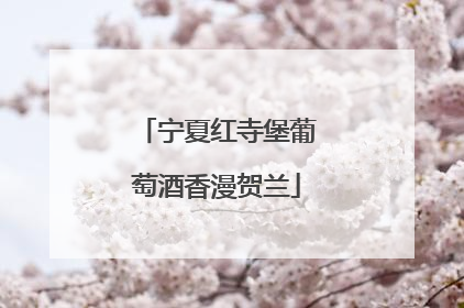 宁夏红寺堡葡萄酒香漫贺兰