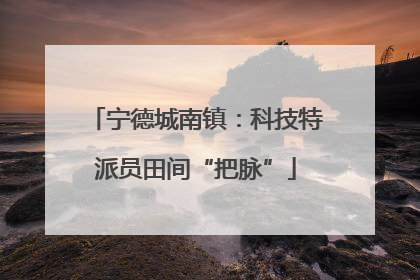宁德城南镇：科技特派员田间“把脉”