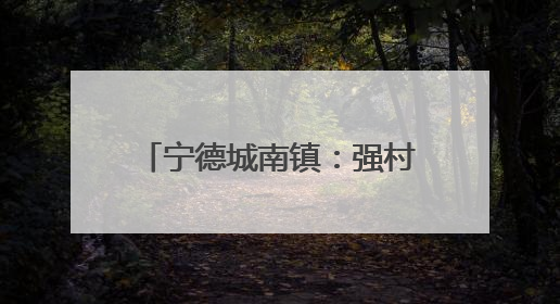 宁德城南镇：强村共富有“土”方