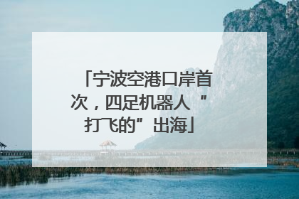 宁波空港口岸首次，四足机器人“打飞的”出海
