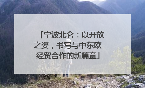 宁波北仑：以开放之姿，书写与中东欧经贸合作的新篇章