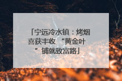 宁远冷水镇：烤烟喜获丰收 “黄金叶”铺就致富路