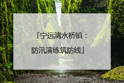 宁远清水桥镇：防汛演练筑防线