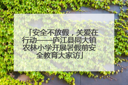 安全不放假，关爱在行动——庐江县同大镇农林小学开展暑假前安全教育大家访