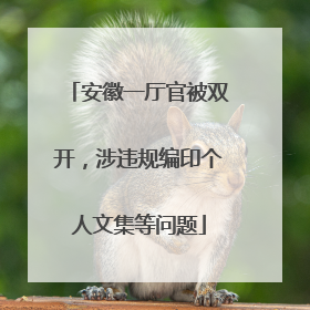安徽一厅官被双开，涉违规编印个人文集等问题