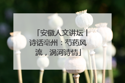 安徽人文讲坛丨诗话亳州：芍药风流，涡河诗情
