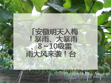 安徽明天入梅！暴雨、大暴雨、8～10级雷雨大风来袭！台风也有消息了