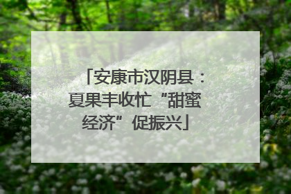 安康市汉阴县：夏果丰收忙“甜蜜经济”促振兴
