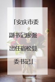 安庆市委副书记廖强出任宿松县委书记