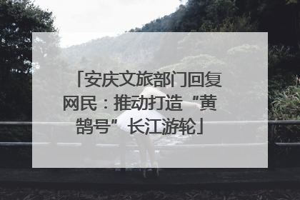 安庆文旅部门回复网民：推动打造“黄鹄号”长江游轮