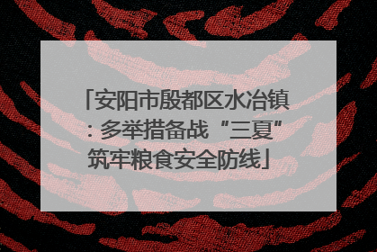 安阳市殷都区水冶镇：多举措备战“三夏” 筑牢粮食安全防线