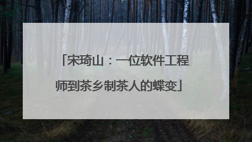 宋琦山：一位软件工程师到茶乡制茶人的蝶变