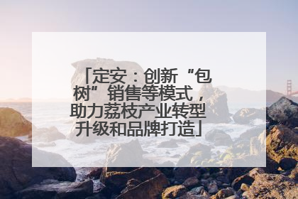 定安：创新“包树”销售等模式，助力荔枝产业转型升级和品牌打造