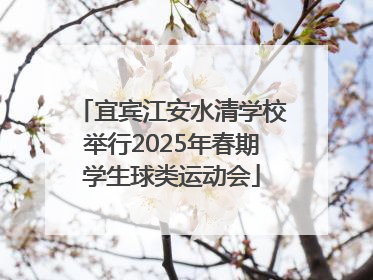 宜宾江安水清学校举行2025年春期学生球类运动会