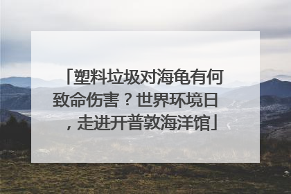 塑料垃圾对海龟有何致命伤害？世界环境日，走进开普敦海洋馆