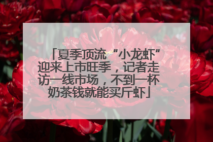 夏季顶流“小龙虾”迎来上市旺季，记者走访一线市场，不到一杯奶茶钱就能买斤虾