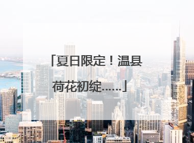 夏日限定！温县荷花初绽……