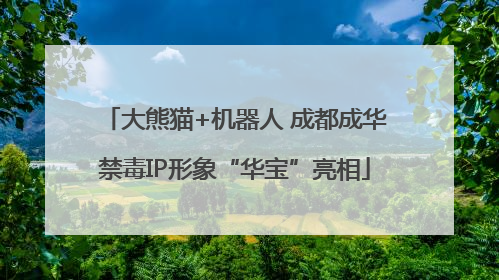 大熊猫+机器人 成都成华禁毒IP形象“华宝”亮相